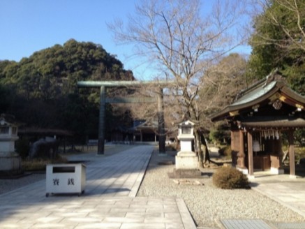 岐阜護国神社と鵜飼桜