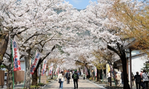 谷汲山華厳寺