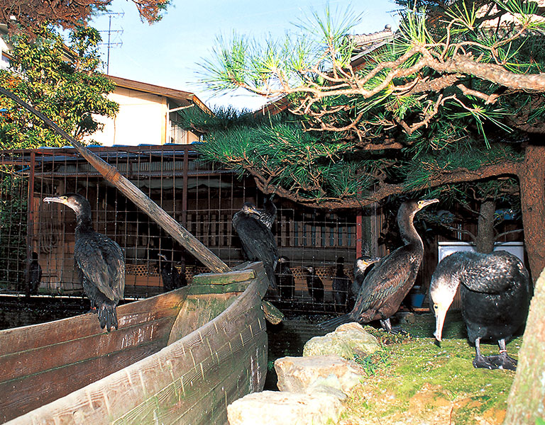 鵜飼の里・長良川うかいミュージアム