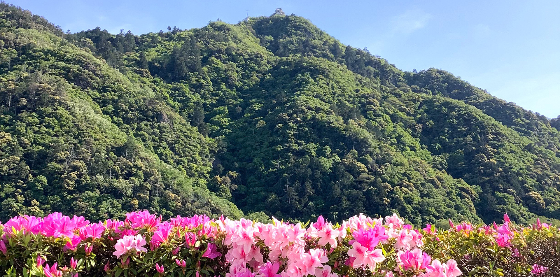 信長の岐阜城、緑深い金華山、清流長良川のほとり 自然豊かなリゾートホテル