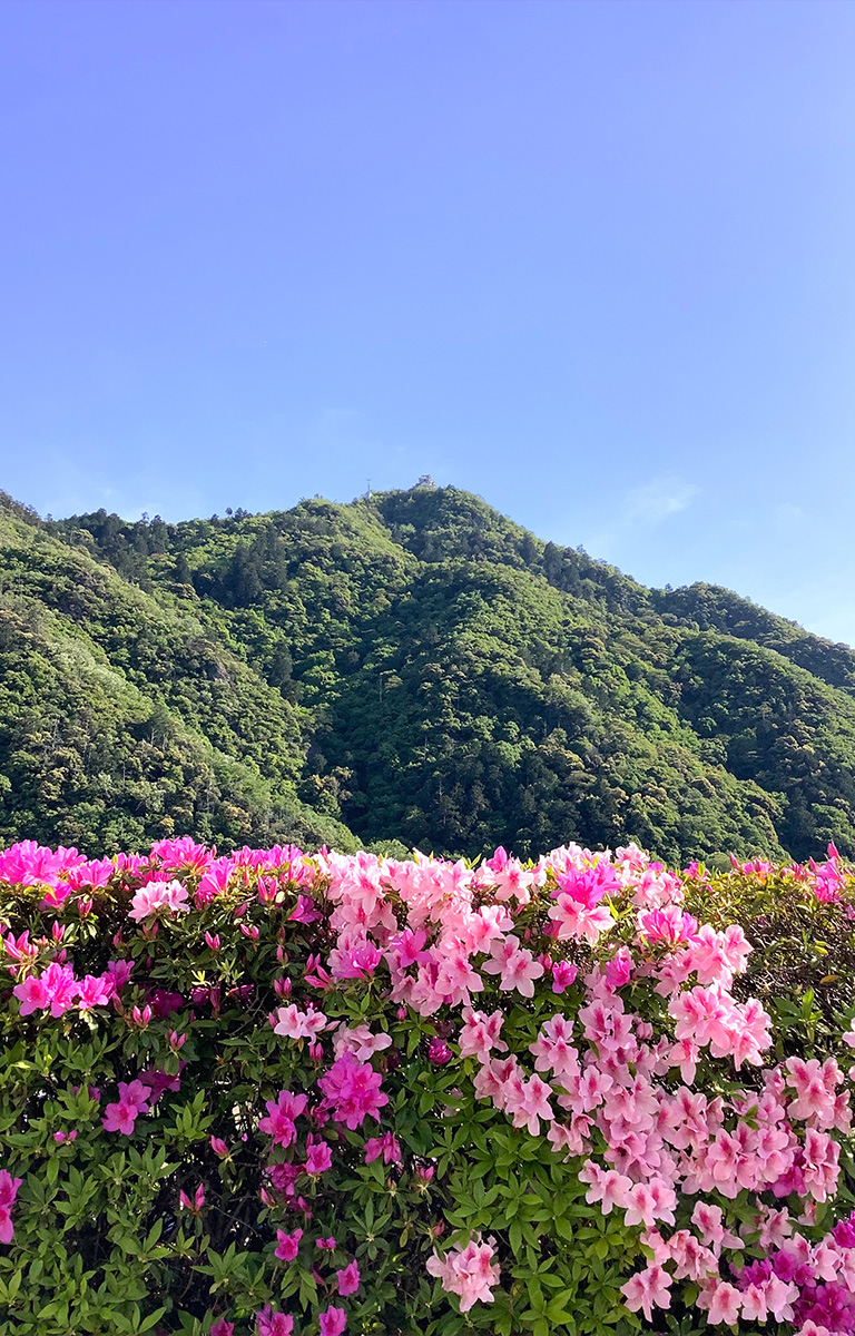 信長の岐阜城、緑深い金華山、清流長良川のほとり 自然豊かなリゾートホテル